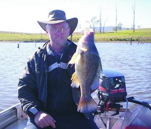 Tony Deite landed this respectable golden perch at Somerset Dam. The golden took a live shrimp fished in around seven metres of water north of Kirkleigh.